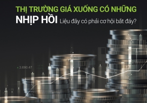 THỊ TRƯỜNG GIÁ XUỐNG CÓ NHỮNG NHỊP HỒI, LIỆU ĐÂY CÓ PHẢI LÀ CƠ HỘI BẮT ĐÁY?